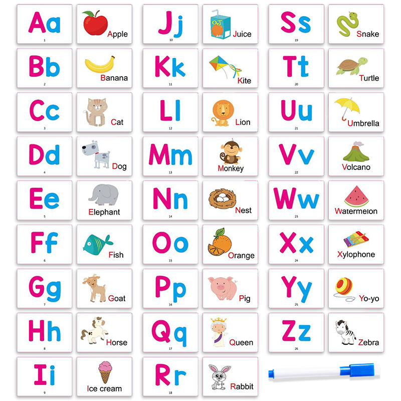 27枚の最初の単語フラッシュカード アルファベットABC動物 - Abc Kids Early Education のレビューと価格